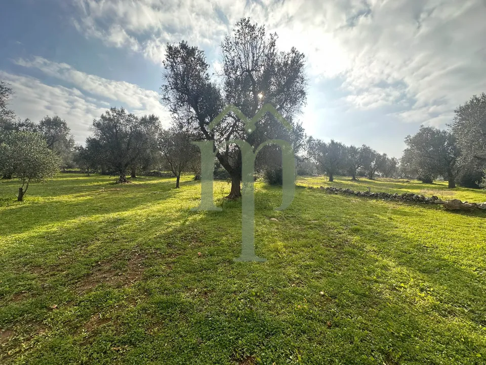 Land in San Vito dei Normanni, Brindisi - photo 2
